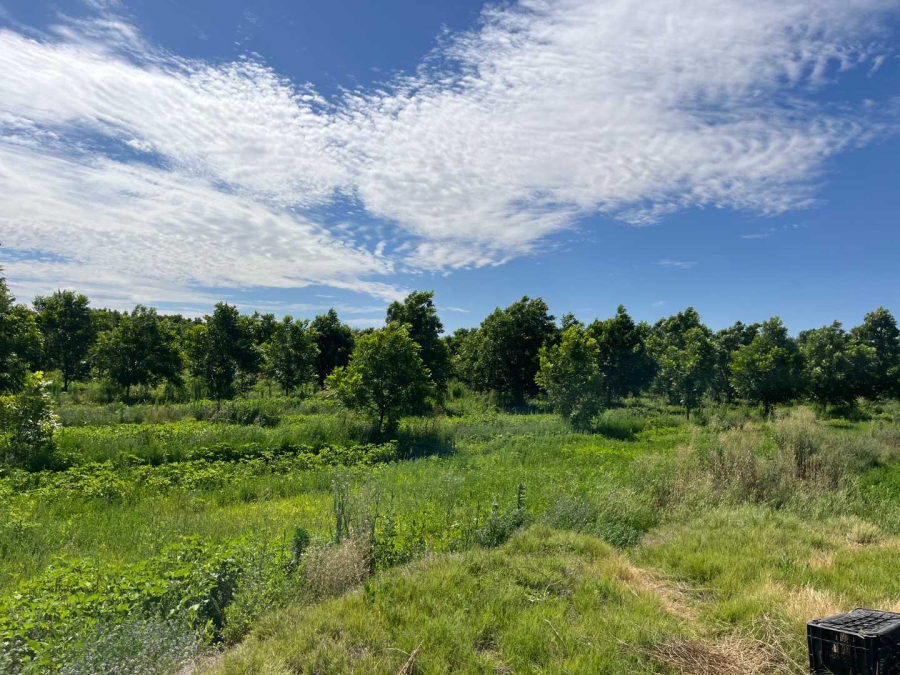 0 Bedroom Property for Sale in Middelpos Northern Cape